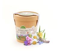 Die Stadtgärtner Fleurs de Pâques - Kit de culture pour un bouquet de fleurs de Pâques coloré - Contient des graines de fleurs et une tablette de source de coco dans un gobelet en carton respectueux