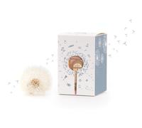 Die Stadtgärtner - Lot de 2 parapluies pissenlit en verre avec fenêtre pour billets - Emballage créatif pour offrir de l'argent - Pour anniversaire, mariage, baptême - Bleu