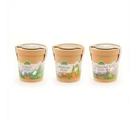 Die Stadtgärtner Lot de 3 kits de culture pour herbe de l'est, carottes et fleurs | Article en kit à prix économique | 3 kits de culture avec pot de plantation, graines et comprimés de source |