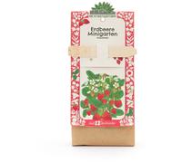 Die Stadtgärtner Mini-Jardin - Fraise - 1 pcs