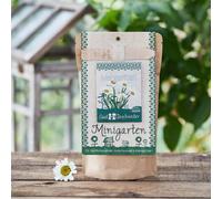 Die Stadtgärtner Minigarten Marguerites | Kit de plantation complet pour cette plante ornementale très appréciée