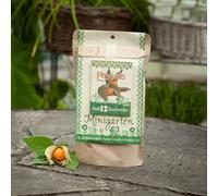 Die Stadtgärtner Minigarten Physalis "Peru" | Kit de culture complet pour les lampions aigre-doux | Terreau tamisé, les meilleures semences & un mode d'emploi détaillé
