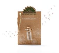 Die Stadtgärtner Petit Cadeau à souhaits I Véritable Parapluie Pissenlit dans Un Verre I Éternellement Durable I Idée Cadeau Parfaite pour Toutes Les Occasions I Cadeau d'anniversaire, Mariage, fête