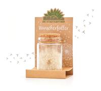 Die Stadtgärtner Petit cadeau à souhaits, véritable parapluie pissenlit dans un verre, éternellement durable, idée cadeau parfaite pour toutes les occasions, pour femme et petite amie