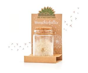 Die Stadtgärtner Petit cadeau à souhaits, véritable parapluie pissenlit dans un verre, éternellement durable, idée cadeau parfaite pour toutes les occasions, pour femme et petite amie