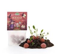 Die Stadtgärtner Œufs de sorcière | 5 billes de fleurs rouges sang | Cadeau d'Halloween | Graines de fleurs sauvages | Sans plastique | Fait à la main