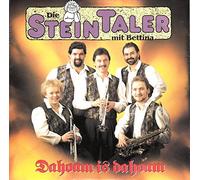 Die Steintaler mit Bettina - STEINTALER mit Bettina / Dahoam is dahoam / Ich will den Wind wieder in den Haaren spür´n / 1992 / Bildhülle / KOCH INTERNATIONAL # 146.017 / Österreichische Pressung / 7" Vinyl Single Schallplatte /