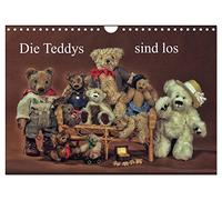Die Teddys sind los (Wandkalender 2026 DIN A4 quer), CALVENDO Monatskalender: Für alle kleinen und großen Freunde der Teddy-Bären