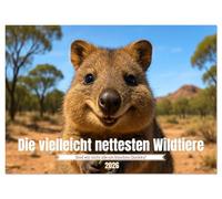 Die vielleicht nettesten Wildtiere (Wandkalender 2026 DIN A2 quer), CALVENDO Monatskalender: Quokkas zeigen, wie frech und freundlich Wildtiere sein können - immer bereit für ein neugieriges Grinsen