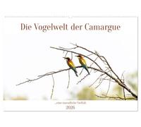 Die Vogelwelt der Camargue (Wandkalender 2026 DIN A2 quer), CALVENDO Monatskalender: Fasziniert und erstaunt ist man von der Vielfältigkeit der Vögel in der Camargue