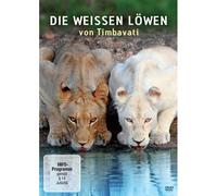 Die Weißen Löwen Von Timbavati