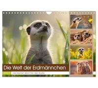 Die Welt der Erdmännchen (Wandkalender 2027 DIN A4 quer), CALVENDO Monatskalender: Dieser liebevoll gestaltete Wandkalender begleitet dich durch das ... der wohl neugierigsten Tiere der Wüste.
