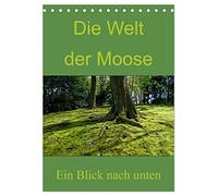 Die Welt der Moose. Ein Blick nach unten (Tischkalender 2026 DIN A5 hoch), CALVENDO Monatskalender: Weitere Kunstwerke rund um das Thema Moos von Dominik Lewald
