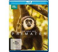 Die Welt der Primaten – Blu-ray – polyband