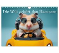 Die Welt gehört den Hamstern (Wandkalender 2027 DIN A4 quer), CALVENDO Monatskalender: Die charmantesten Hamster der Welt in liebevollen Alltagsszenen