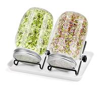 Diealles Shine Sprossen Lot de 2 Bocaux à Germer en Verre de 950 ML avec 2 Supports Réglables, 2 Filtres en Acier Inoxydable, 1 Assiette en Plastique, 1 Jar pour la Culture des échelons