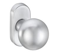 Dieckmann edi Bouton ZT Ares 2033/5020 ovale, sur rosace anodisé argenté Quantité:1