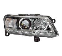 DIEDERICHS 1027984 Projecteur principal