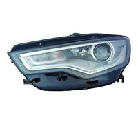 DIEDERICHS 1028984 Projecteur principal
