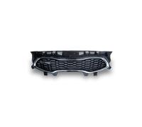 DIEDERICHS 1617540 Elément insertable, grille de radiateur