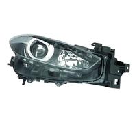 DIEDERICHS 5620181 Projecteur principal