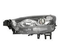 DIEDERICHS 5645081 Projecteur principal