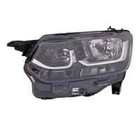 DIEDERICHS 6696981 Projecteur principal