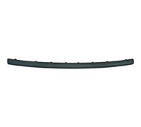 DIEDERICHS Bandeau pare-choc Baguette et bande protectrice 1416661 arrière