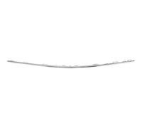DIEDERICHS Bandeau pare-choc Baguette et bande protectrice 1682363 avant