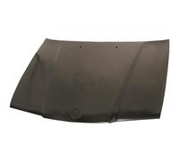 DIEDERICHS Capot Compatible Pour BMW 3 Compact E36 1213000