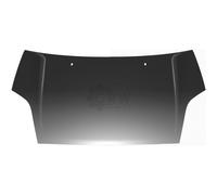 DIEDERICHS Capot Compatible Pour Ford Fiesta V JH_ JD_ 1404100