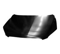 DIEDERICHS Capot Compatible Pour Toyota RAV 4 III _A3_ 6687000