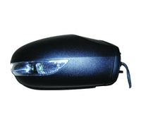 DIEDERICHS Rétroviseur extérieur Rétroviseur 1681224 droit