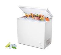 DieffematicBX Mini Frigo Congélation Rapide Petit Congélateur Ménage Grande Capacité Congélation Complète Petit Congélateur Frais Double Température Congélateur Double Usage Mini Ménage