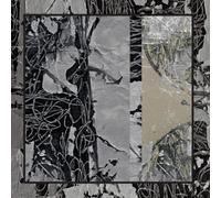 Diego Caicedo - Eidos Daemonium