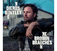 Dierks Bentley - Dierks Bentley - Branches cassées