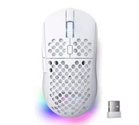 Dierya M1 Souris de Jeu sans Fil, Capteur Optique 24 000 DPI, Léger 90g, 6 Boutons Programmables, Éclairage RGB, Autonomie 180H, 2.4GHz/Bluetooth/USB-C Souris Gamer, Blanc
