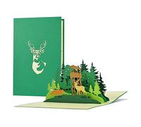 Carte d'anniversaire pour chasseur, forêt avec pop-up 3D forêt, cerf, renard | Bon d'achat, invitation à la chasse | Cadeaux pour hommes pour examens de chasse, permis de chasse, H31