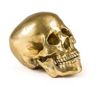 DIESEL LIVING WITH SELETTI crâne humain WUNDERKAMMER HUMAN SKULL Culture Skulture (Or - Aluminium)