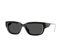 DIESEL Unisex DIESEL DL2002MU 701/87 Lunettes de soleil Acétate Noir Gris Carré Normale