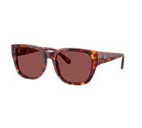 Diesel Unisex Sunglass DL2005 - Couleur du Monture: Havane marron, Couleur de Lentille: Violet foncé/Rouge