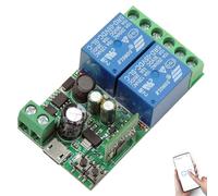 DieseRC Interrupteur Intelligent WIFI 2 canaux, DC 5V 12V 24V 36V Sortie Passive Module Relais, Ewelink APP Contrôle WIFI compatible avec Alexa/Google Home, commutateur Inching/autobloquant