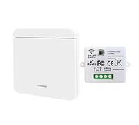 DieseRC Mini commutateur WiFi sans fil récepteur de télécommande RF 2500W 10A avec 1 interrupteur mural sans fil contrôle intelligent par l'application Tuya compatible avec Alexa/Google Home