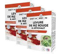 Diet Horizon Levure de riz rouge & Artichaut lot de 3