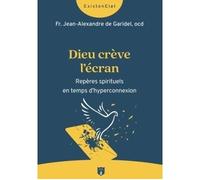 Dieu crève l'écran Repères spirituels en temps d'hyperconnexion - Jean-Alexandre de de Garidel - Du Carmel Eds - broché - Essai