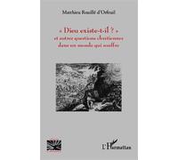 Dieu existe-t-il? Et autres questions chrétiennes dans un monde qui souffre - Matthieu Rouillé d'Orfeuil - L'harmattan - broché - Essai