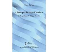 Dieu perdu dans l’herbe Marc Farine (Auteur)