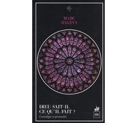 Dieu sait-il ce qu'il fait ? : Cosmologie et spiritualité