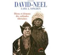 Dieux et démons des solitudes tibétaines