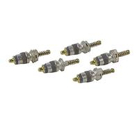 Obus valve expansion (X 5) - DIFF pour Chaffoteaux : 60036472